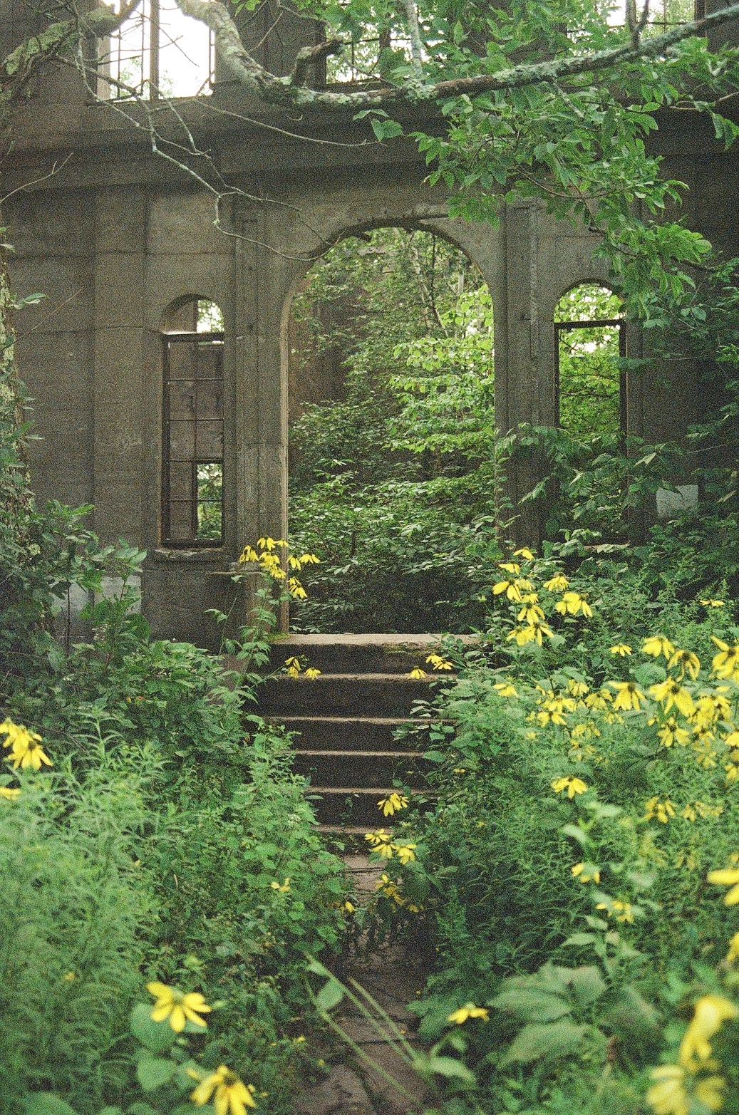 Journal d&rsquo;un amie imaginaire